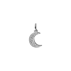 MOON CHARM SILVER W/CRYSTALS