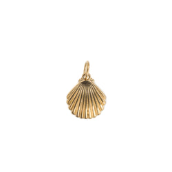 SHELL CHARM GOLD