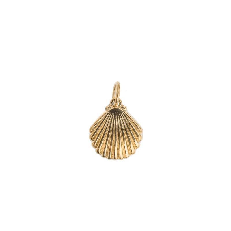 SHELL CHARM GOLD – DARK department